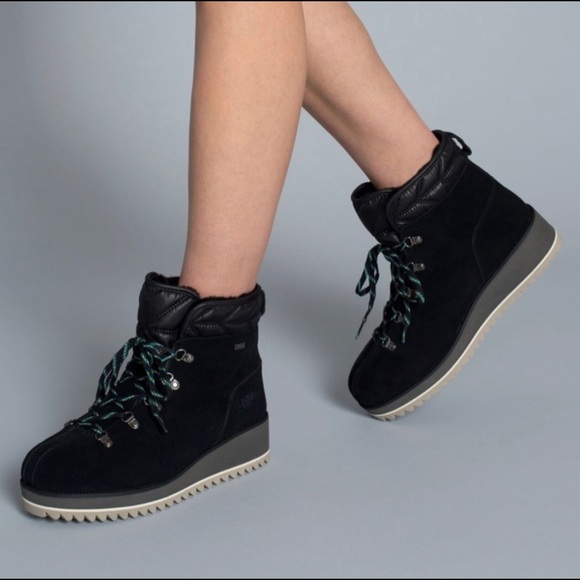 UGG Shoes - NWT Ugg Birch Lace-Up Boot
